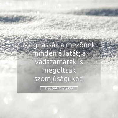 Picture 05 - Zsoltárok 104:11 KAR - Megitassák a mezõnek minden állatát; a - Bible Verse Picture