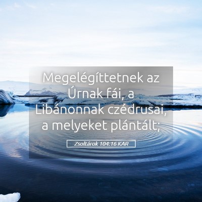 Picture 05 - Zsoltárok 104:16 KAR - Megelégíttetnek az Úrnak fái, a Libánonnak - Bible Verse Picture