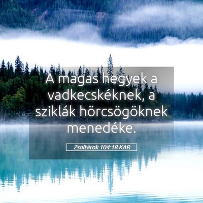 Picture 05 - Zsoltárok 104:18 KAR - A magas hegyek a vadkecskéknek, a sziklák - Bible Verse Picture