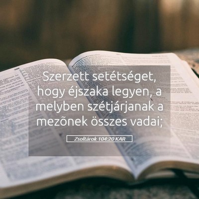 Picture 05 - Zsoltárok 104:20 KAR - Szerzett setétséget, hogy éjszaka legyen, a - Bible Verse Picture