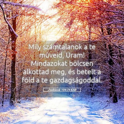 Picture 05 - Zsoltárok 104:24 KAR - Mily számtalanok a te mûveid, Uram! Mindazokat - Bible Verse Picture
