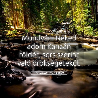 Picture 05 - Zsoltárok 105:11 KAR - Mondván: Néked adom Kanaán földét, sors - Bible Verse Picture