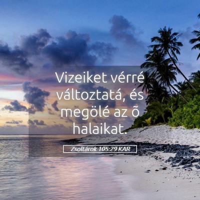 Picture 05 - Zsoltárok 105:29 KAR - Vizeiket vérré változtatá, és megölé az õ - Bible Verse Picture