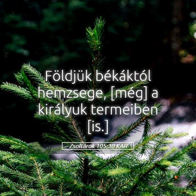 Picture 05 - Zsoltárok 105:30 KAR - Földjük békáktól hemzsege, [még] a - Bible Verse Picture