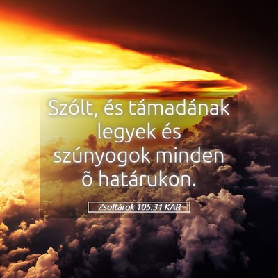 Picture 05 - Zsoltárok 105:31 KAR - Szólt, és támadának legyek és szúnyogok - Bible Verse Picture