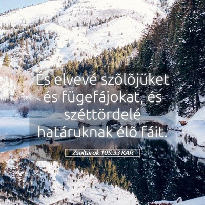 Picture 05 - Zsoltárok 105:33 KAR - És elvevé szõlõjüket és fügefájokat, és - Bible Verse Picture