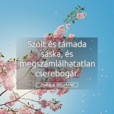 Picture 05 - Zsoltárok 105:34 KAR - Szólt és támada sáska, és - Bible Verse Picture
