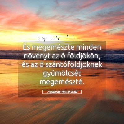 Picture 05 - Zsoltárok 105:35 KAR - És megemészte minden növényt az õ - Bible Verse Picture