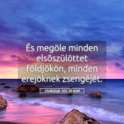 Picture 05 - Zsoltárok 105:36 KAR - És megöle minden elsõszülöttet földjökön, - Bible Verse Picture