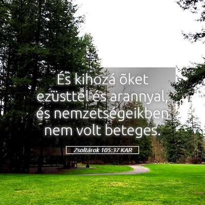 Picture 05 - Zsoltárok 105:37 KAR - És kihozá õket ezüsttel és arannyal, és - Bible Verse Picture