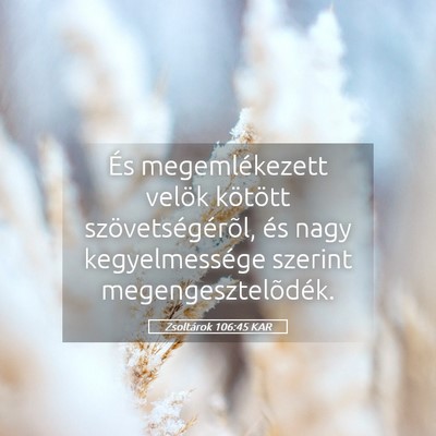 Picture 05 - Zsoltárok 106:45 KAR - És megemlékezett velök kötött - Bible Verse Picture