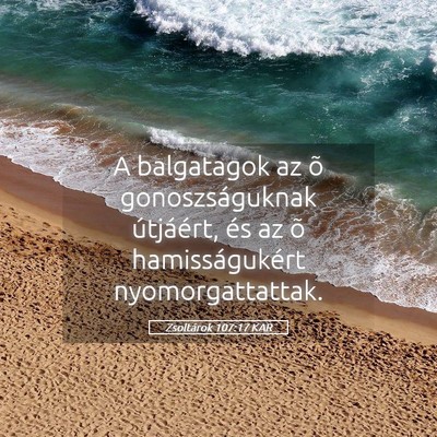 Picture 05 - Zsoltárok 107:17 KAR - A balgatagok az õ gonoszságuknak útjáért, - Bible Verse Picture