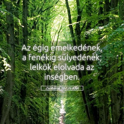 Picture 05 - Zsoltárok 107:26 KAR - Az égig emelkedének, a fenékig sülyedének; - Bible Verse Picture