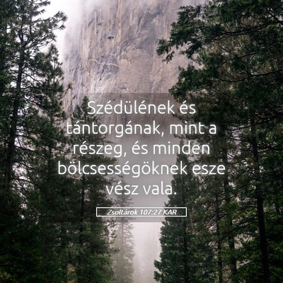 Picture 05 - Zsoltárok 107:27 KAR - Szédülének és tántorgának, mint a részeg, - Bible Verse Picture
