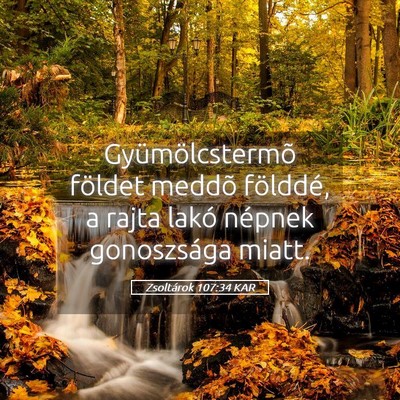 Picture 05 - Zsoltárok 107:34 KAR - Gyümölcstermõ földet meddõ földdé, a rajta - Bible Verse Picture