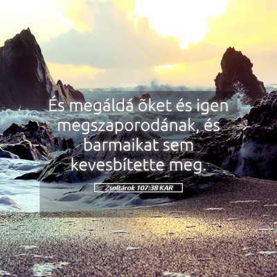 Picture 05 - Zsoltárok 107:38 KAR - És megáldá õket és igen megszaporodának, - Bible Verse Picture