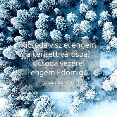 Picture 05 - Zsoltárok 108:11 KAR - Kicsoda visz el engem a kerített városba? - Bible Verse Picture