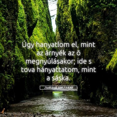 Picture 05 - Zsoltárok 109:23 KAR - Úgy hanyatlom el, mint az árnyék az õ - Bible Verse Picture