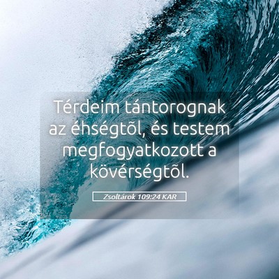 Picture 05 - Zsoltárok 109:24 KAR - Térdeim tántorognak az éhségtõl, és testem - Bible Verse Picture