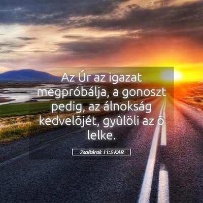 Picture 05 - Zsoltárok 11:5 KAR - Az Úr az igazat megpróbálja, a gonoszt pedig, - Bible Verse Picture
