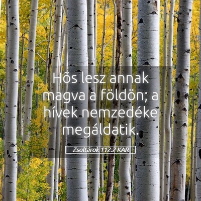 Picture 05 - Zsoltárok 112:2 KAR - Hõs lesz annak magva a földön; a hívek - Bible Verse Picture
