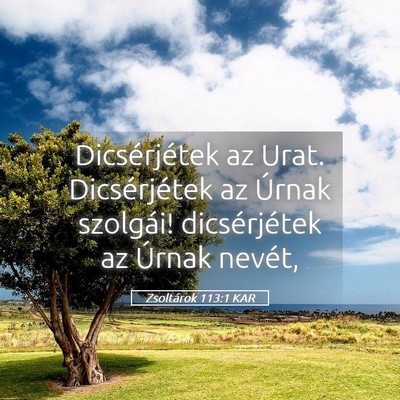 Picture 05 - Zsoltárok 113:1 KAR - Dicsérjétek az Urat. Dicsérjétek az Úrnak - Bible Verse Picture
