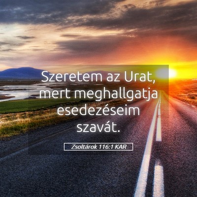 Picture 05 - Zsoltárok 116:1 KAR - Szeretem az Urat, mert meghallgatja esedezéseim - Bible Verse Picture