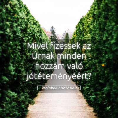 Picture 05 - Zsoltárok 116:12 KAR - Mivel fizessek az Úrnak minden hozzám való - Bible Verse Picture