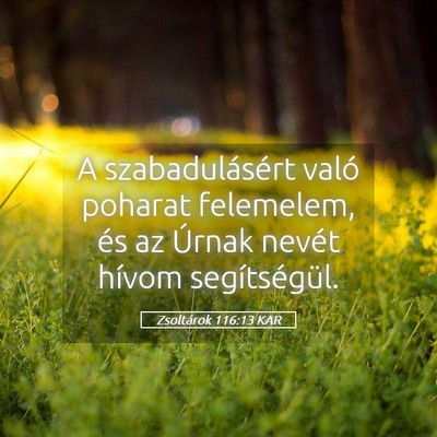 Picture 05 - Zsoltárok 116:13 KAR - A szabadulásért való poharat felemelem, és az - Bible Verse Picture