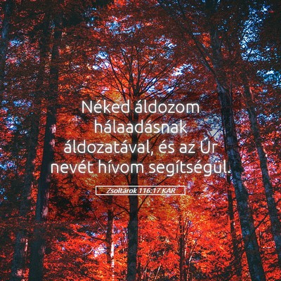 Picture 05 - Zsoltárok 116:17 KAR - Néked áldozom hálaadásnak áldozatával, és - Bible Verse Picture