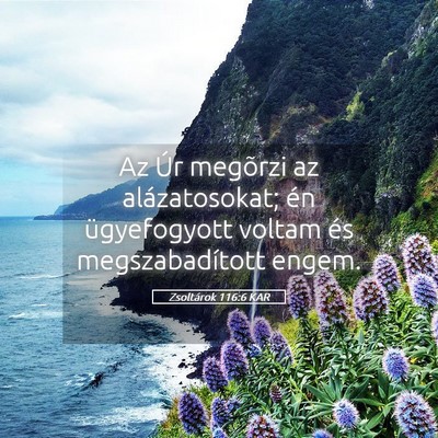 Picture 05 - Zsoltárok 116:6 KAR - Az Úr megõrzi az alázatosokat; én - Bible Verse Picture