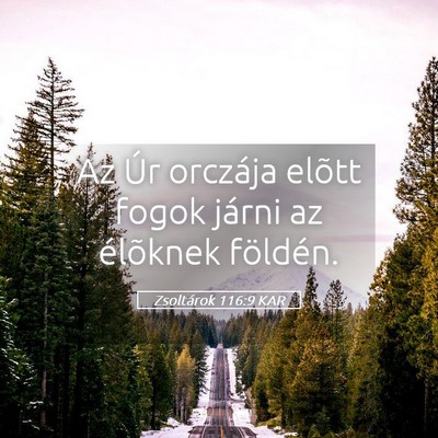 Picture 05 - Zsoltárok 116:9 KAR - Az Úr orczája elõtt fogok járni az élõknek - Bible Verse Picture