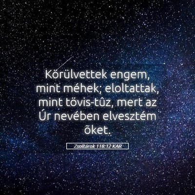 Picture 05 - Zsoltárok 118:12 KAR - Körülvettek engem, mint méhek; eloltattak, - Bible Verse Picture
