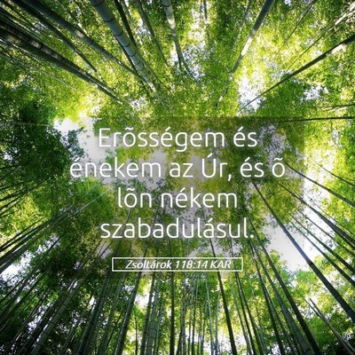 Picture 05 - Zsoltárok 118:14 KAR - Erõsségem és énekem az Úr, és õ lõn - Bible Verse Picture