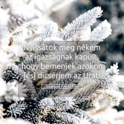 Picture 05 - Zsoltárok 118:19 KAR - Nyissátok meg nékem az igazságnak kapuit, hogy - Bible Verse Picture