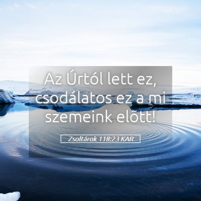 Picture 05 - Zsoltárok 118:23 KAR - Az Úrtól lett ez, csodálatos ez a mi szemeink - Bible Verse Picture