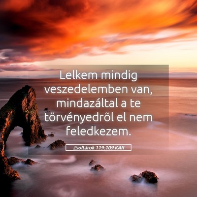 Picture 05 - Zsoltárok 119:109 KAR - Lelkem mindig veszedelemben van, mindazáltal a - Bible Verse Picture
