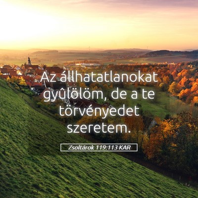Picture 05 - Zsoltárok 119:113 KAR - Az állhatatlanokat gyûlölöm, de a te - Bible Verse Picture
