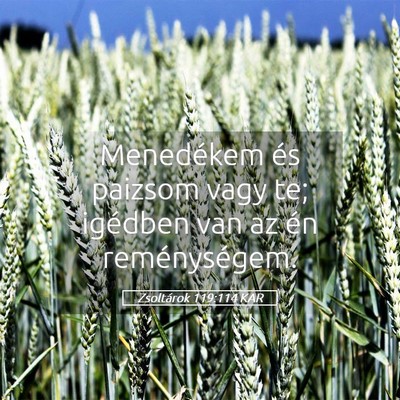 Picture 05 - Zsoltárok 119:114 KAR - Menedékem és paizsom vagy te; igédben van az - Bible Verse Picture