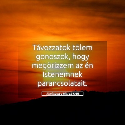 Picture 05 - Zsoltárok 119:115 KAR - Távozzatok tõlem gonoszok, hogy megõrizzem az - Bible Verse Picture