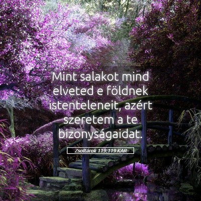 Picture 05 - Zsoltárok 119:119 KAR - Mint salakot mind elveted e földnek - Bible Verse Picture