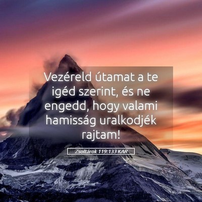 Picture 05 - Zsoltárok 119:133 KAR - Vezéreld útamat a te igéd szerint, és ne - Bible Verse Picture