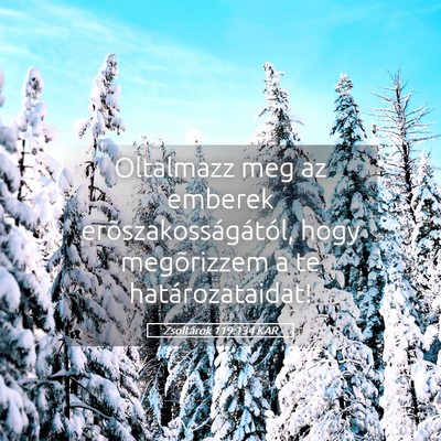 Picture 05 - Zsoltárok 119:134 KAR - Oltalmazz meg az emberek erõszakosságától, - Bible Verse Picture