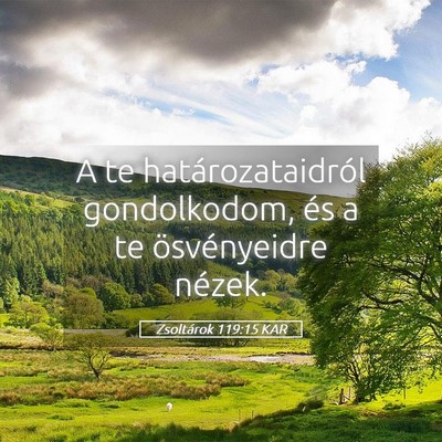 Picture 05 - Zsoltárok 119:15 KAR - A te határozataidról gondolkodom, és a te - Bible Verse Picture