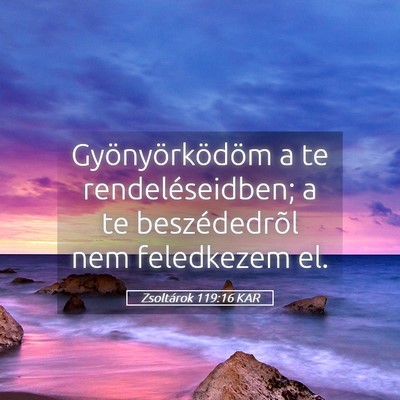 Picture 05 - Zsoltárok 119:16 KAR - Gyönyörködöm a te rendeléseidben; a te - Bible Verse Picture