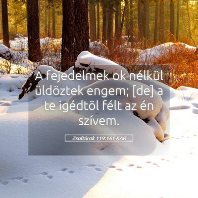 Picture 05 - Zsoltárok 119:161 KAR - A fejedelmek ok nélkül üldöztek engem; [de] a - Bible Verse Picture