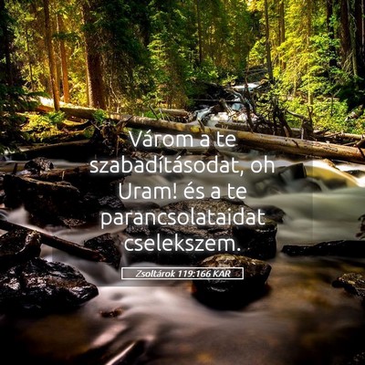 Picture 05 - Zsoltárok 119:166 KAR - Várom a te szabadításodat, oh Uram! és a te - Bible Verse Picture