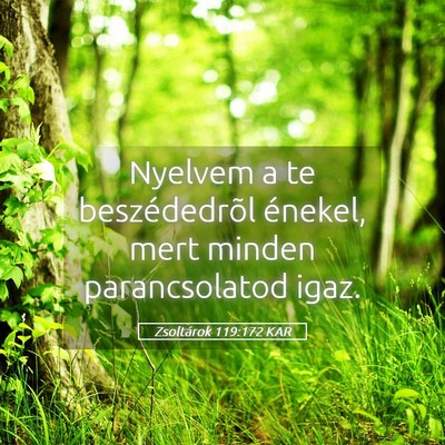 Picture 05 - Zsoltárok 119:172 KAR - Nyelvem a te beszédedrõl énekel, mert minden - Bible Verse Picture