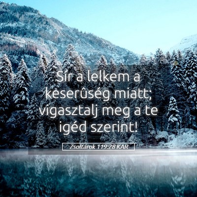 Picture 05 - Zsoltárok 119:28 KAR - Sír a lelkem a keserûség miatt; vigasztalj meg - Bible Verse Picture