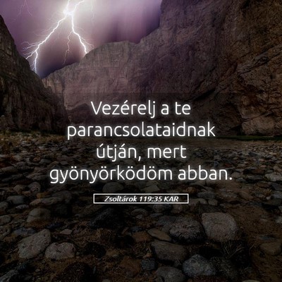 Picture 05 - Zsoltárok 119:35 KAR - Vezérelj a te parancsolataidnak útján, mert - Bible Verse Picture